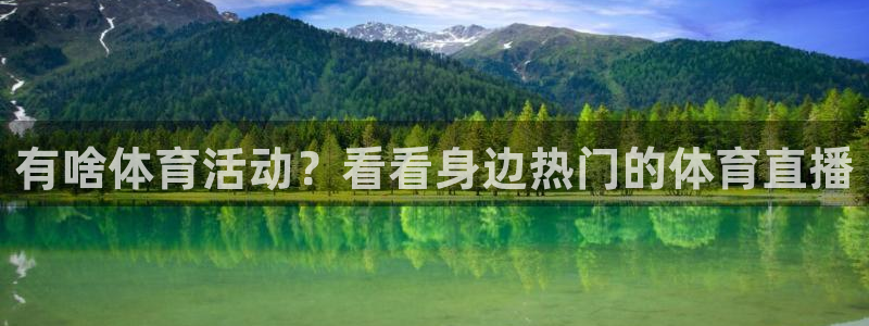 飞速直播体育nba无插件