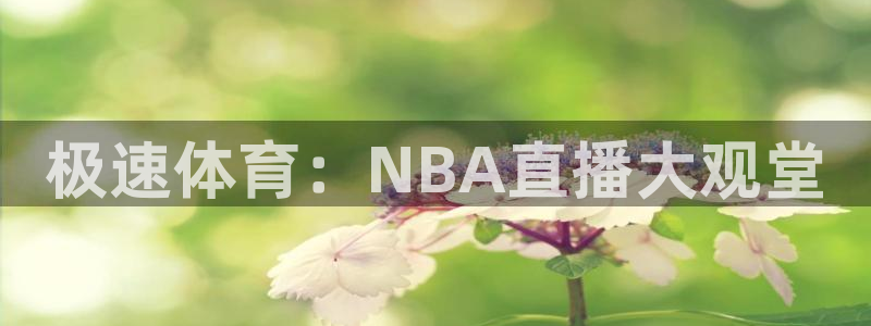 飞速看球nba直播