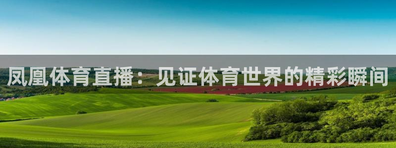 飞速直播nba直播无插件