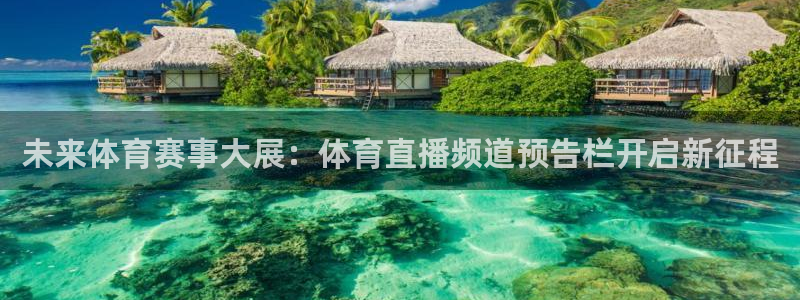 飞速直播nba免费观看：未来体育赛事大展：体育直播频道预告栏开启新征程