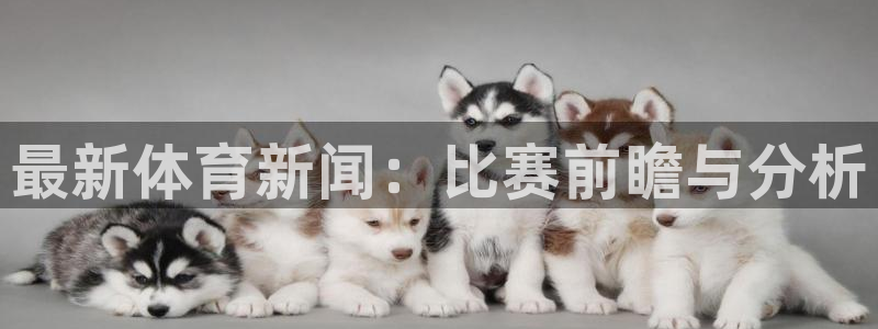 nba在线观看免费观看飞速直播：最新体育新闻：比赛前瞻与分析
