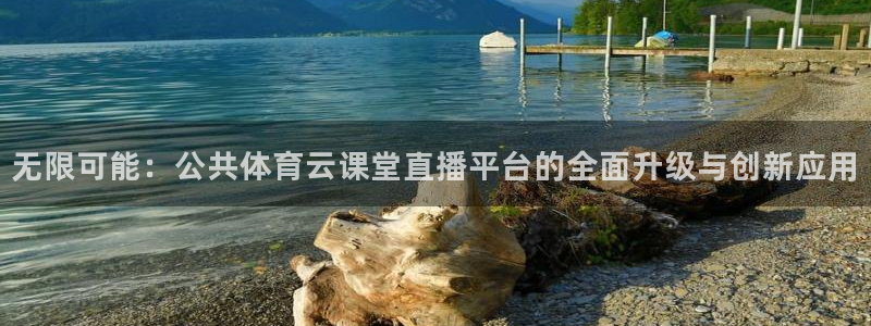 飞速nba直播