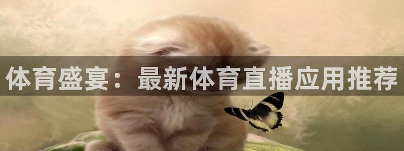 飞速直播篮球直播