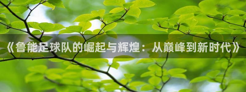 飞速足球直播官网：《鲁能足球队的崛起与辉煌：从巅峰到新时代》