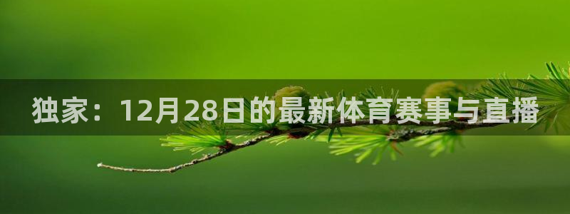 飞速直播jrs：独家：12月28日的最新体育赛事与直播